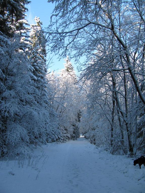 Hotel Kilian Braunlage Luaran gambar